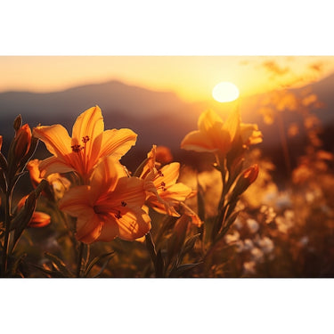 Tableau Nature Coucher De Soleil